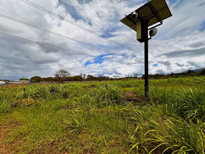 Venta de Terreno de 6.11 Ha para Masterplan Mixto en San Pablo, Heredia – Uso Mixto y Alta Plusvalía - Imagen 10