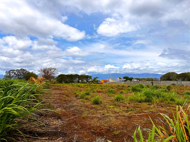 Venta de Terreno de 6.11 Ha para Masterplan Mixto en San Pablo, Heredia – Uso Mixto y Alta Plusvalía - Imagen 6