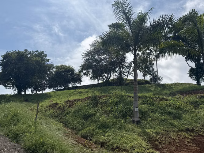For Sale: Charming Rural Lot with Pasture Views, Esterillos Beach (MV)