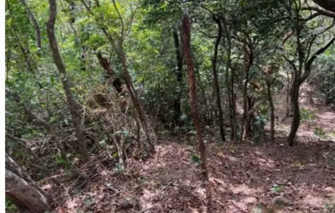 Venta de Lote en Piedades de Santa Ana. 25-1246 - Imagen 6
