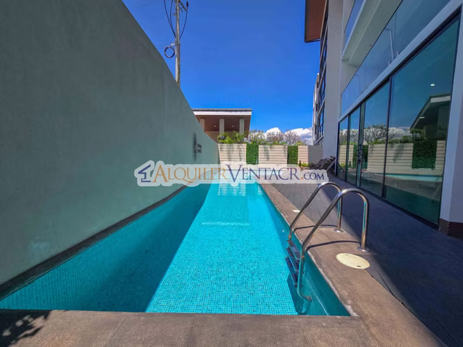 LUJOSO APARTAMENTO DE 3 HABIT. + DE SERVICIO EN ESCAZU CENTRO - Imagen 3