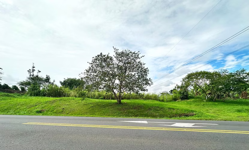 Venta de Terreno de 6.11 Ha para Masterplan Mixto en San Pablo Heredia - Imagen 7