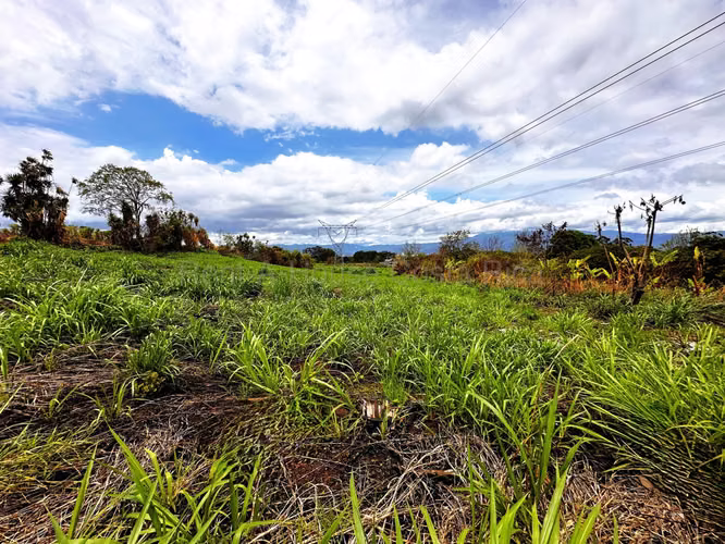Venta de Terreno de 6.11 Ha para Masterplan Mixto en San Pablo Heredia - Imagen 14