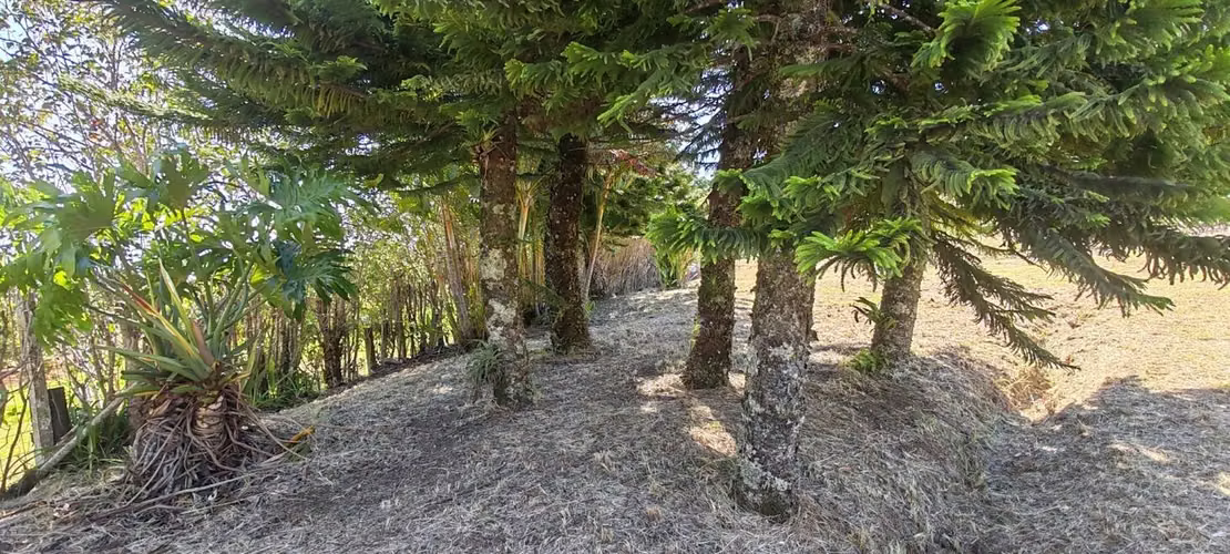 Venta de Lote en San Rafael-Concepción-Heredia. RAH 27-280 - Imagen 14