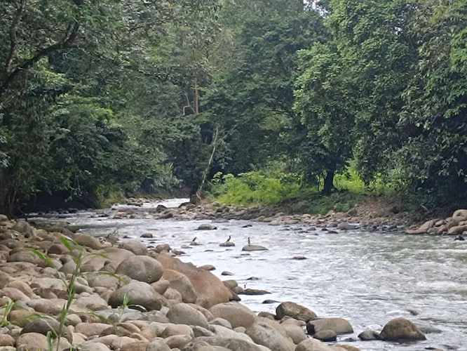 Una propiedad excepcional donde el confort, el diseño y la naturaleza se unen en perfecta armonia - Imagen 12