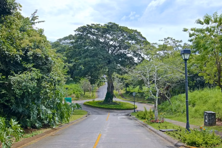 Bambues Breezes Dream Home Site | Suburban Living - Imagen 5