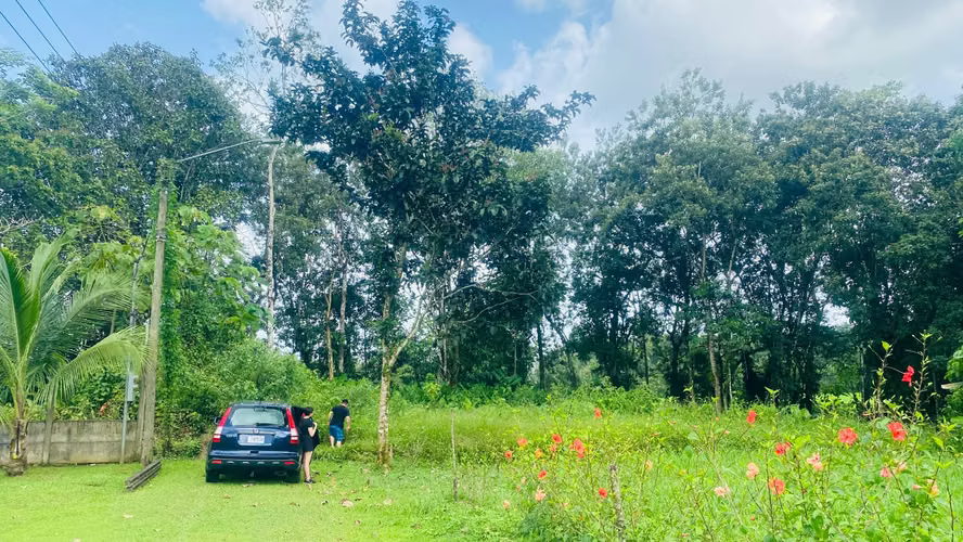 Lote de 736 m² con Vista al Volcán Arenal – La Fortuna - Imagen 3