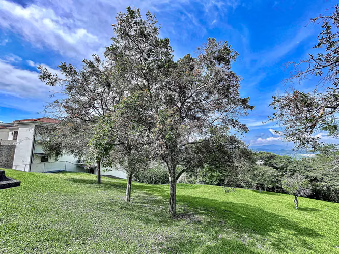 Mora Dream Home Lot for sale - Mora - Santa Ana - Imagen 7