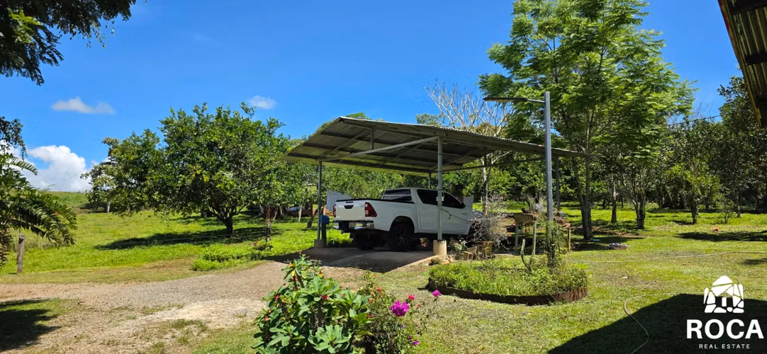 Venta de finca en San Pedro de Perez Zeledon - Imagen 6