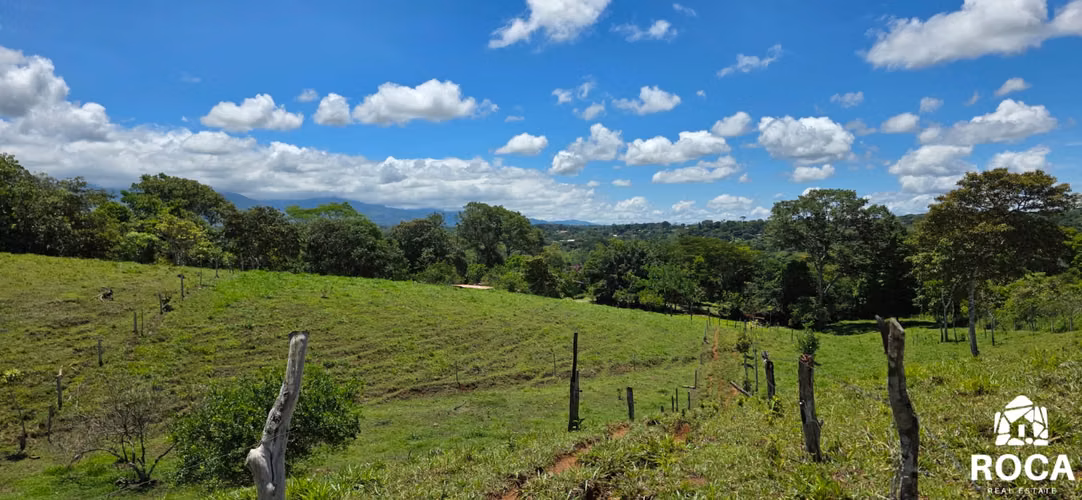 Venta de finca en San Pedro de Perez Zeledon - Imagen 5