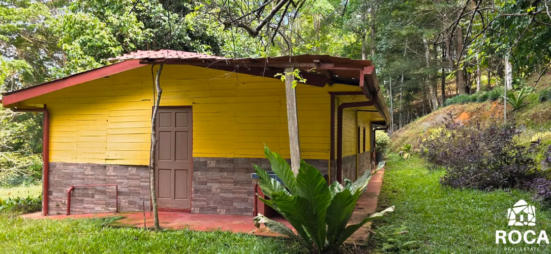Venta de linda finca en San Vito de Coto Brus - Imagen 6