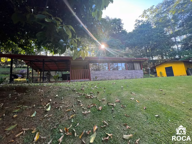 Venta de linda finca en San Vito de Coto Brus - Imagen 4