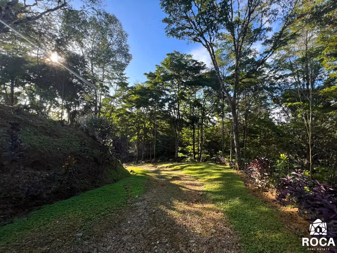 Venta de linda finca en San Vito de Coto Brus - Imagen 16