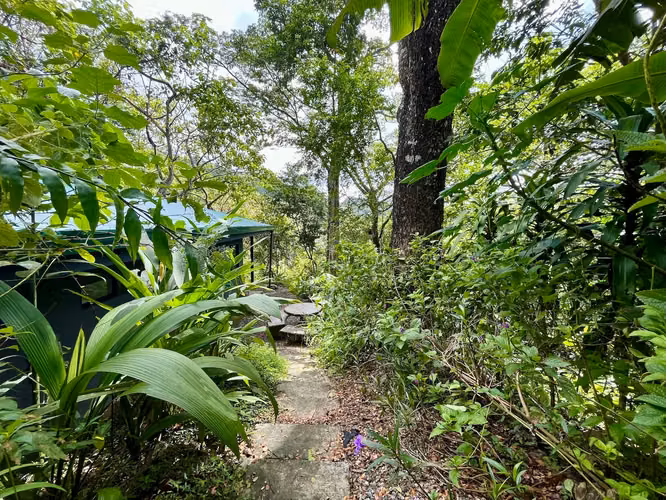 3 Casas en Santa Teresa, Costa Rica 8,000m² a minutos de Playa Carmen y Propiedad Generante de Ingresos - Imagen 20