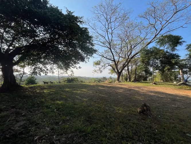 11.000 m² de hermoso terreno con vista al mar – Uso residencial y comercial en Santiago - Imagen 3