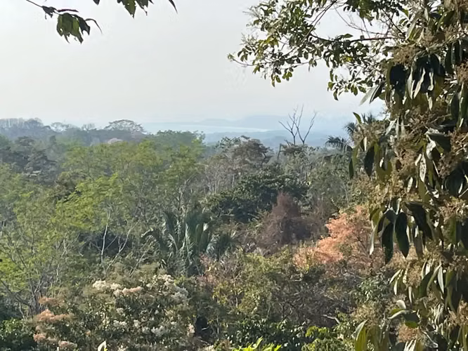 11.000 m² de hermoso terreno con vista al mar – Uso residencial y comercial en Santiago