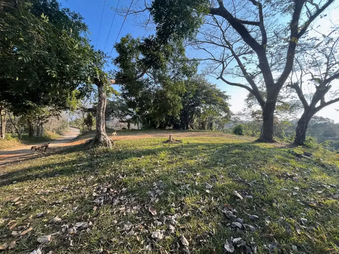 11.000 m² de hermoso terreno con vista al mar – Uso residencial y comercial en Santiago - Imagen 6
