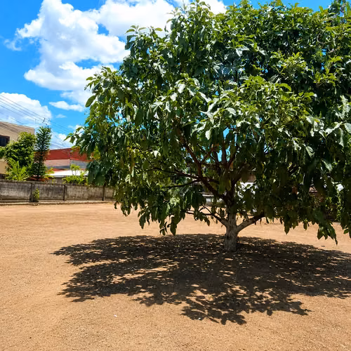 SAN SEBASTIAN SE VENDE Casa de 2 Hab. con Lote Grande y Taller - Imagen 10