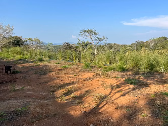 Lote con tres sitios para construir a minutos de Hermosa en vecindario tranquilo - Imagen 6