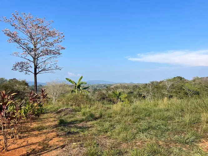 Lote con tres sitios para construir a minutos de Hermosa en vecindario tranquilo - Imagen 13