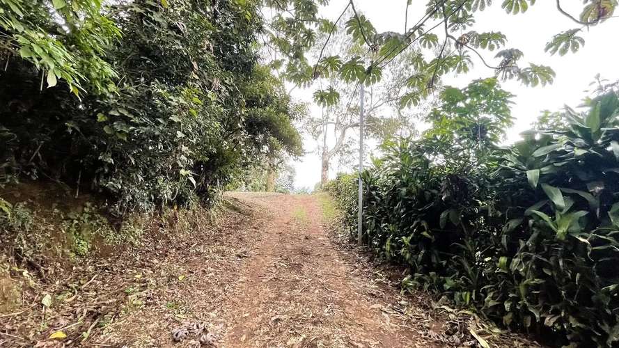 HERMOSA CASA EN UN AMPLIO LOTE EN CARRIZAL, ALAJUELA - Imagen 19