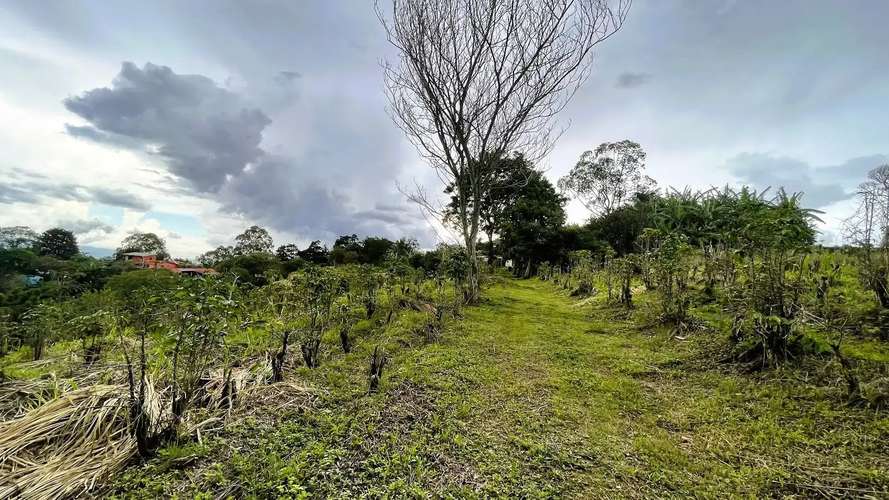 HERMOSA CASA EN UN AMPLIO LOTE EN CARRIZAL, ALAJUELA - Imagen 17