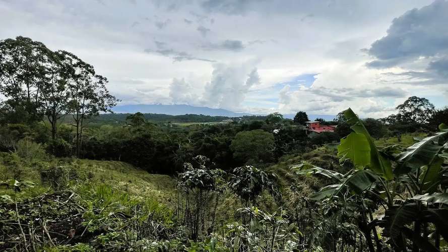 HERMOSA CASA EN UN AMPLIO LOTE EN CARRIZAL, ALAJUELA - Imagen 13