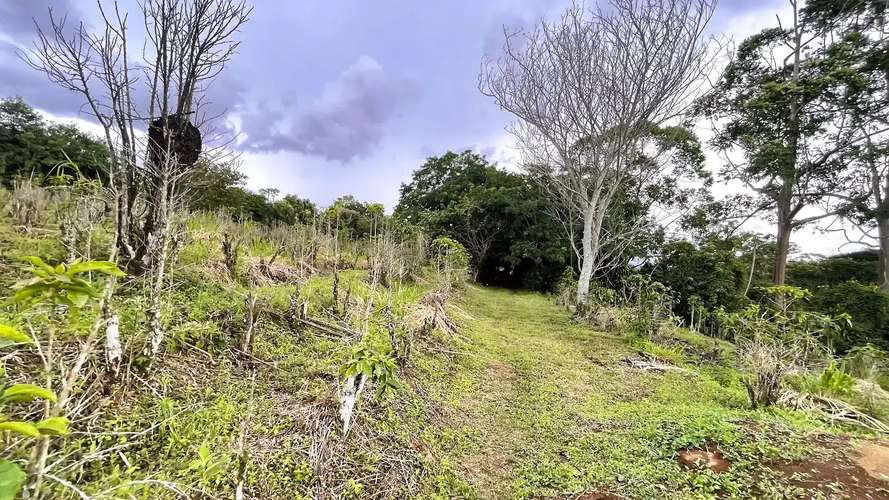 HERMOSA CASA EN UN AMPLIO LOTE EN CARRIZAL, ALAJUELA - Imagen 16