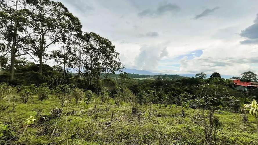 HERMOSA CASA EN UN AMPLIO LOTE EN CARRIZAL, ALAJUELA - Imagen 15