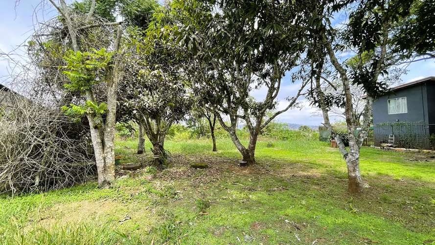 TERRENO EN VENTA EN SAN ISIDRO, SAN RAMÓN - Imagen 15