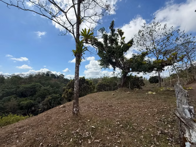 Finca de 11,4 hectáreas en la montaña de Santiago: exuberante bosque, río y potencial agrícola en Arenal Puriscal, San José - Imagen 7
