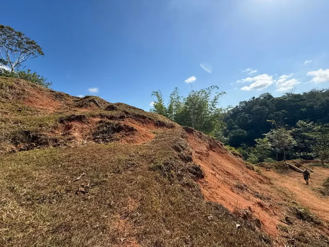Finca de 11,4 hectáreas en la montaña de Santiago: exuberante bosque, río y potencial agrícola en Arenal Puriscal, San José - Imagen 20