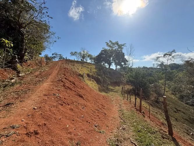 Finca de 11,4 hectáreas en la montaña de Santiago: exuberante bosque, río y potencial agrícola en Arenal Puriscal, San José - Imagen 14