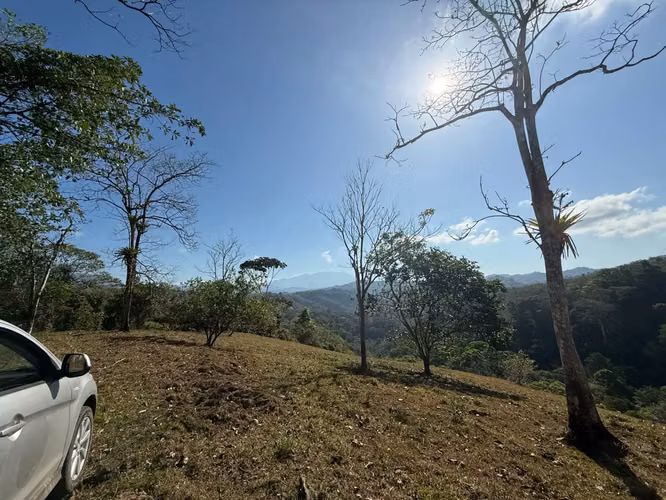 Finca de 11,4 hectáreas en la montaña de Santiago: exuberante bosque, río y potencial agrícola en Arenal Puriscal, San José - Imagen 5