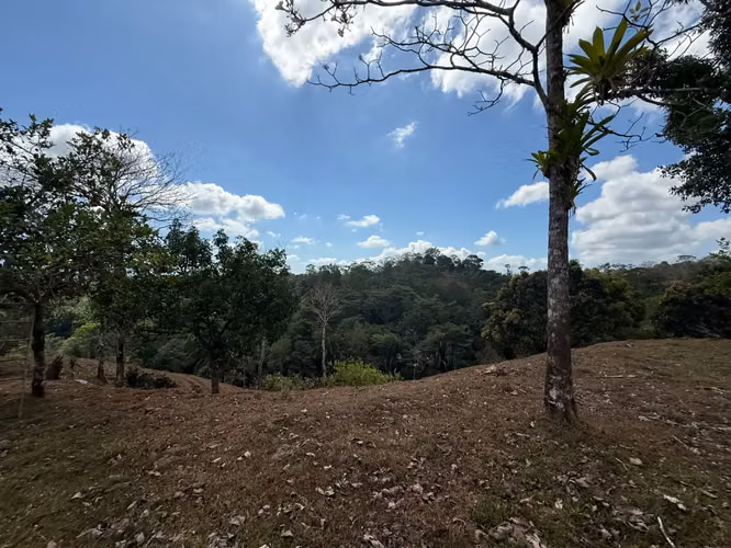 Finca de 11,4 hectáreas en la montaña de Santiago: exuberante bosque, río y potencial agrícola en Arenal Puriscal, San José - Imagen 8