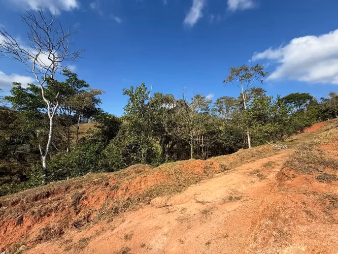 Finca de 11,4 hectáreas en la montaña de Santiago: exuberante bosque, río y potencial agrícola en Arenal Puriscal, San José - Imagen 18