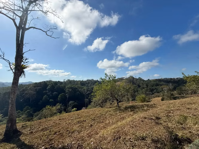 Finca de 11,4 hectáreas en la montaña de Santiago: exuberante bosque, río y potencial agrícola en Arenal Puriscal, San José - Imagen 9