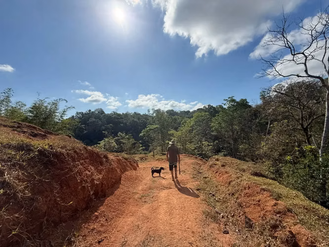 Finca de 11,4 hectáreas en la montaña de Santiago: exuberante bosque, río y potencial agrícola en Arenal Puriscal, San José - Imagen 16