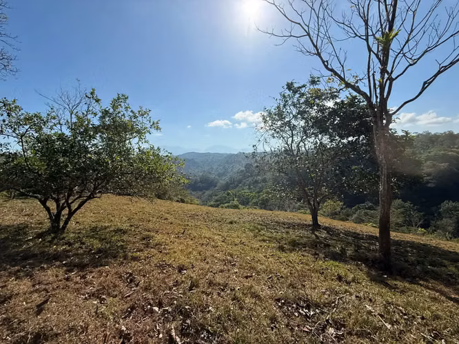 Finca de 11,4 hectáreas en la montaña de Santiago: exuberante bosque, río y potencial agrícola en Arenal Puriscal, San José - Imagen 4