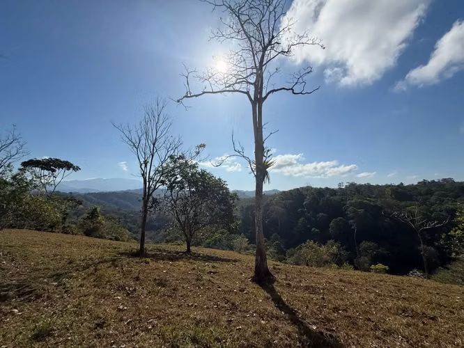 Finca de 11,4 hectáreas en la montaña de Santiago: exuberante bosque, río y potencial agrícola en Arenal Puriscal, San José - Imagen 6