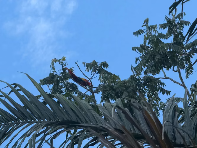 Finca de 11,4 hectáreas en la montaña de Santiago: exuberante bosque, río y potencial agrícola en Arenal Puriscal, San José - Imagen 2