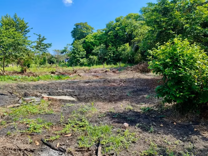 4200 m² Terreno en Parrita: Ideal para Desarrollo Agrícola o Residencial Cerca de Playa Palo Seco