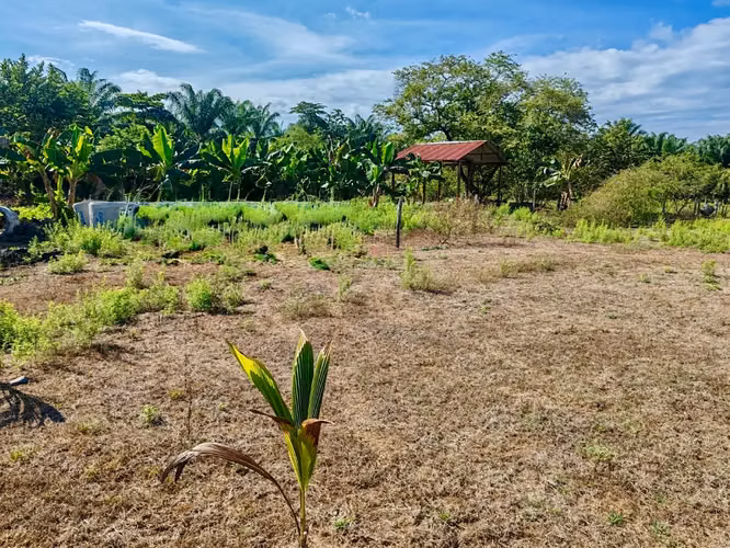 4200 m² Terreno en Parrita: Ideal para Desarrollo Agrícola o Residencial Cerca de Playa Palo Seco