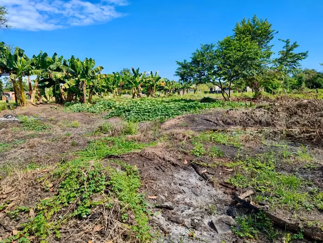 4200 m² Terreno en Parrita: Ideal para Desarrollo Agrícola o Residencial Cerca de Playa Palo Seco