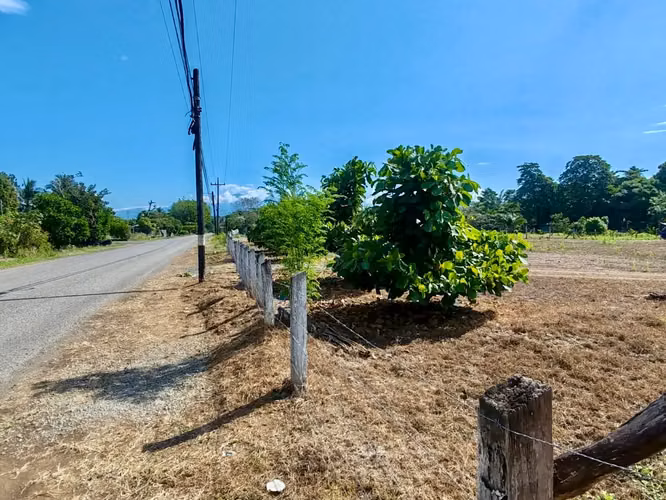 4200 m² Terreno en Parrita: Ideal para Desarrollo Agrícola o Residencial Cerca de Playa Palo Seco