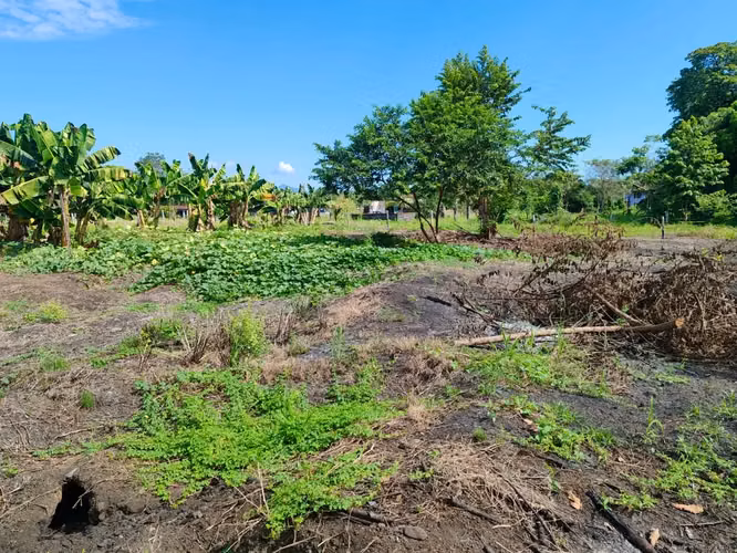 4200 m² Terreno en Parrita: Ideal para Desarrollo Agrícola o Residencial Cerca de Playa Palo Seco