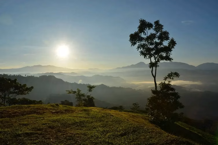 For Sale: Spectacular Lots in Gated Community in Puriscal