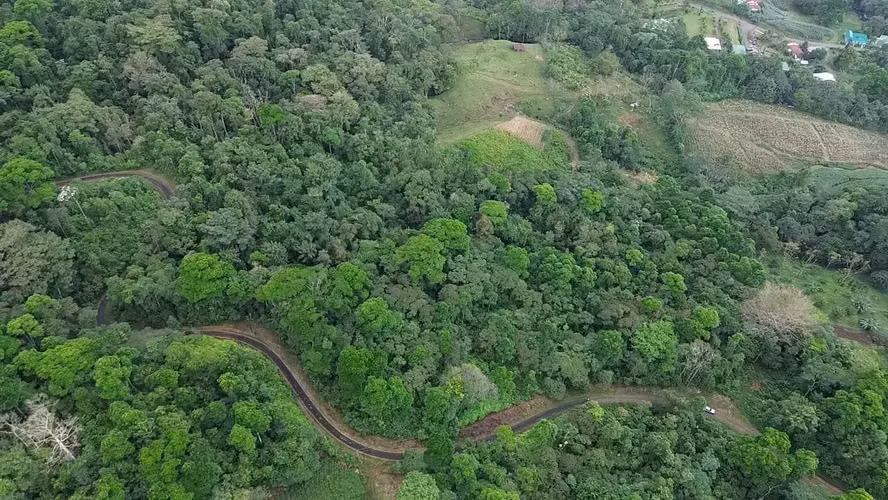 VENTA / Finca de ensueño en la provincia de ALAJUELA - Imagen 5