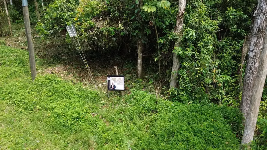 VENTA / Finca de ensueño en la provincia de ALAJUELA - Imagen 8