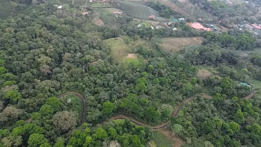 VENTA / Finca de ensueño en la provincia de ALAJUELA - Imagen 4
